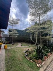 Vanda Crescent (D11), Semi-Detached #423720071